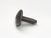 Non-standard Machine Screw