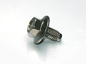 Non-standard Machine Screw