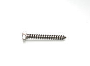 Wood Screw